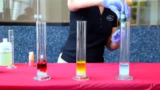 Let's Science Summer 2019