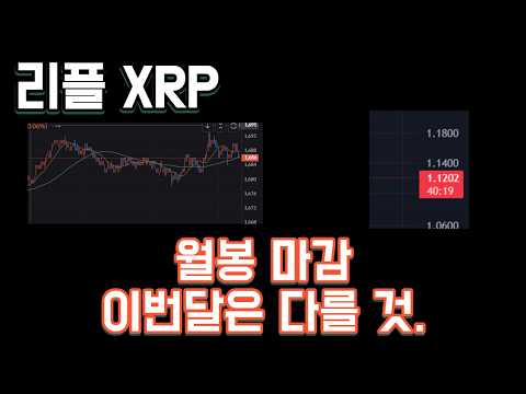 리플 XRP 월봉 마감 이번달은 다를 것.