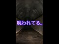 【恐怖】呪われてる..ありえない心霊現象！！【心霊スポット】（Part3)