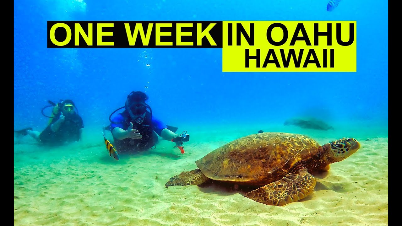 Oahu Hawaii 2022 VLOG | Our Mini-Honeymoon