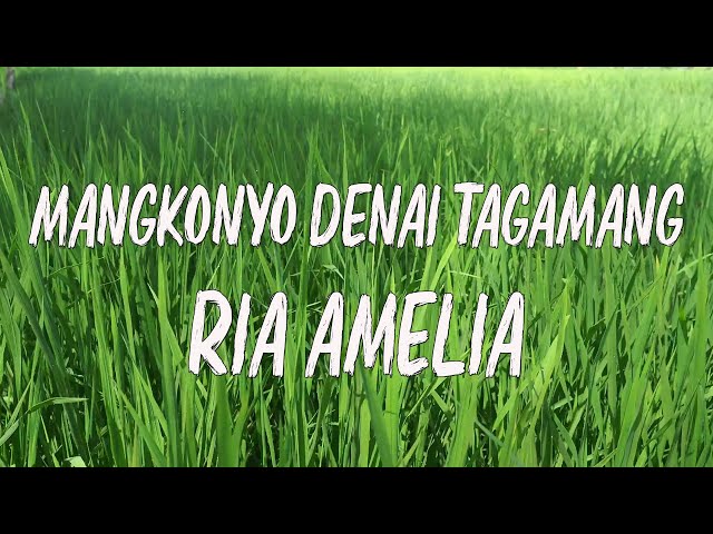 Ria Amelia - Mangkonyo Denai Tagamang - Lirik class=