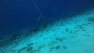 COZUMEL, MEXICO. DIVE PALANCAR REEF (THE MOUNTAIN DRIFT DIVE) 1