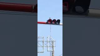 300mm full ball traffic light with digital countdown timer working video