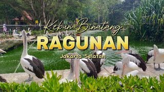 Kebun Binatang Ragunan Jakarta Selatan