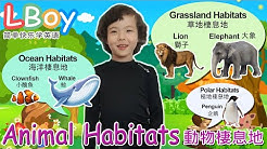 Lboy 簡單快樂學英文 Youtube