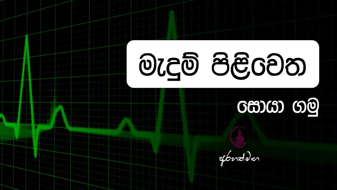 හේතු හට ගන්නේ කෝහොමද ? මෙය තනිව යා හැකි ගමනක් ද ? @mahaguru90 #desana #buddha #niwanmaga