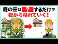 【超簡単】笹の駆除は頑張らない方が効率よく枯れる【除草剤も不要】