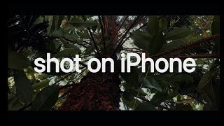 Shot on iPhone (4k). | Capcut Edit.