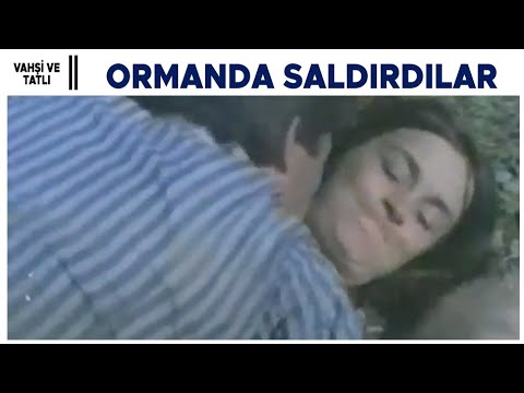 Vahşi ve Tatlı Türk Filmi | Ormanda Zeynep'e Saldırıyor!