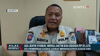 Pemkot Jakarta Timur Berencana Denda Rp 50 Juta Jika Temukan Jentik Nyamuk di Rumah Warga