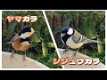 2024/1/27✴︎本日のお客様