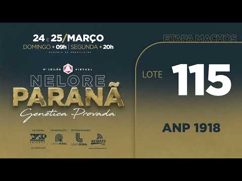 LOTE   115 ANP 1918