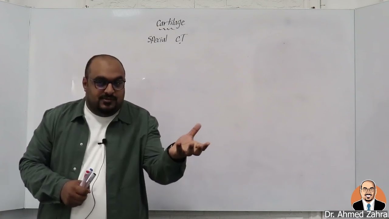 Cartilage 1 Ain shams ( locomotor )