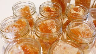 Harvesting the most beautiful honeycomb from traditional Japanese beehive.