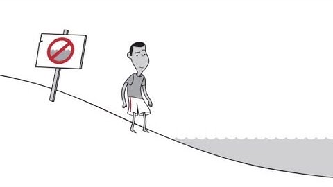 A Short Obedience Video