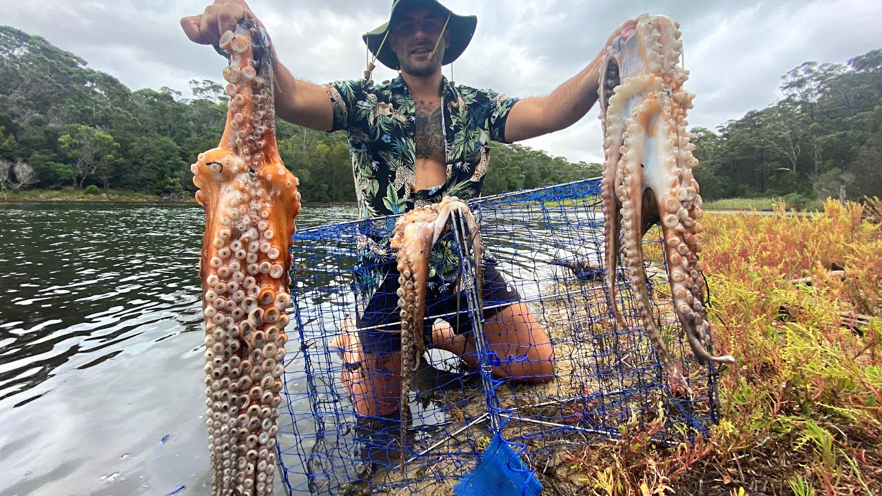 I caught 3 monster OCTOPUS with crab pots! (EP - 32)
