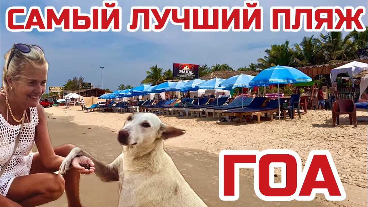 Индия. Как выглядит САМЫЙ лучший пляж в Гоа. ШОКИРУЮЩИЕ ЦЕНЫ в шеках #бенаулим #гоа #benaulim #индия