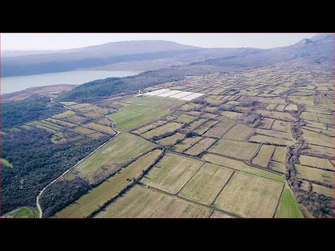 Video: Usjev Staklenik