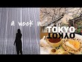 WEEK IN MY LIFE IN TOKYO 🇯🇵  shopping, costco, teamLab PLANETS (most instagrammable place in jp?)