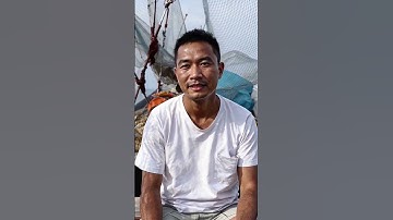 Revolutionize Your Subscription Business with Subbly | All-in-One D2C Platform