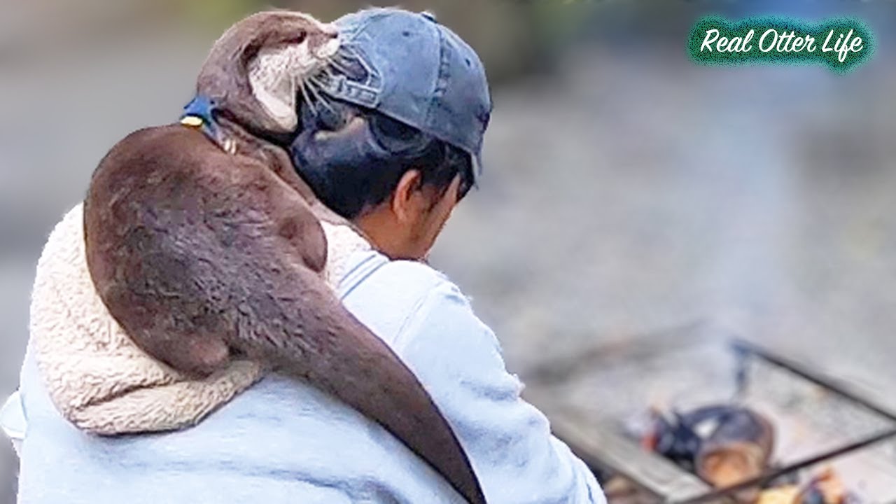 [Жизнь Выдры- День 137-138] Ешьте, играйте, разводите костры и спите спокойно