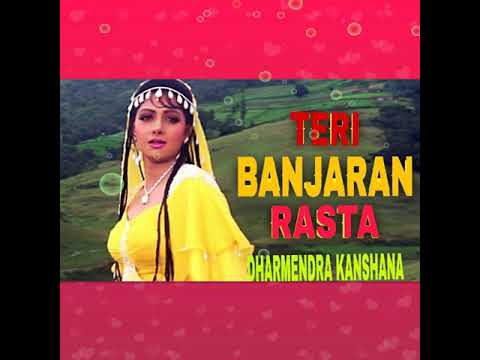 teri banjaran rasta dekhe kab aayega mere banjare song