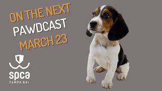 Watch the For-All PAWDCast on National Puppy Day | SPCA Tampa Bay