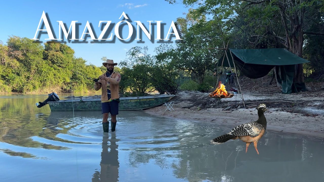 AVENTURA SELVAGEM em região AMAZÔNICA, boa PESCARIA com vários encontros com ANIMAIS SELVAGENS 🏕️🔥
