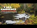 Fall Ambience🍎🌽 Autumn Mountain River ASMR Ambience  Fall Aesthetic Soothing Relaxing Nature Sounds