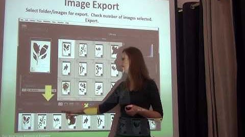 BITC / Data Capture - Image Processing - 2