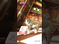 pixiv highlight - Itten #shorts