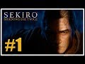 Смерть может и подождать [Sekiro Shadows Die Twice]