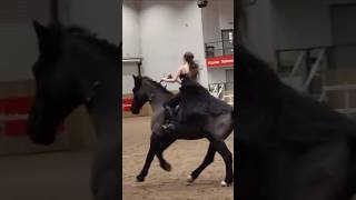 BEYOND THE BRIDLE… A wonderland adventure!! For the evening show 🥳