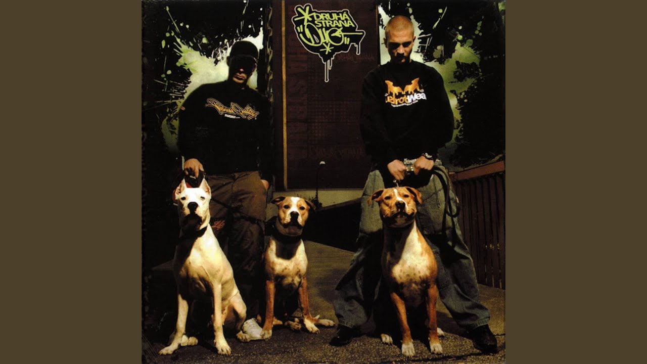 Vážnosť Skurvenej Situácie