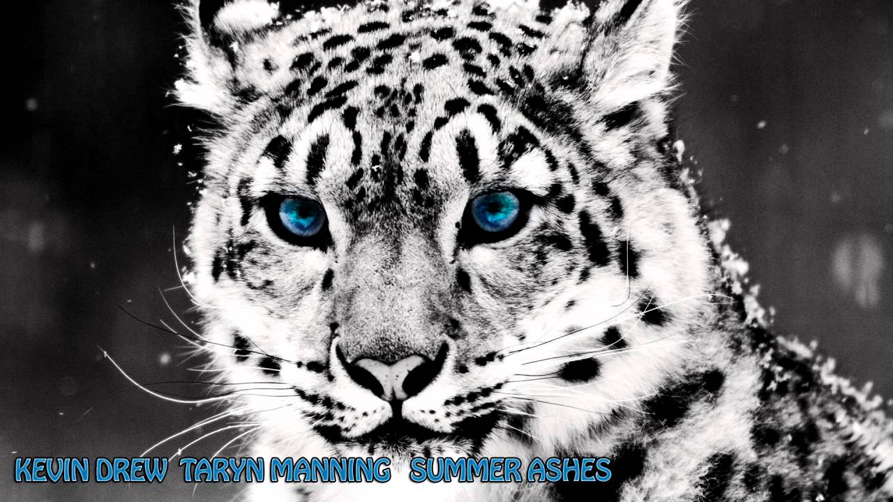 Watch Non Copyright Song - Kevin Drew & Taryn Manning - Summer Ashes ( 2014 ) on YouTube Watch Non Copyright Song - Kevin Drew & Taryn Manning - Summer Ashes ( 2014 ) on YouTube