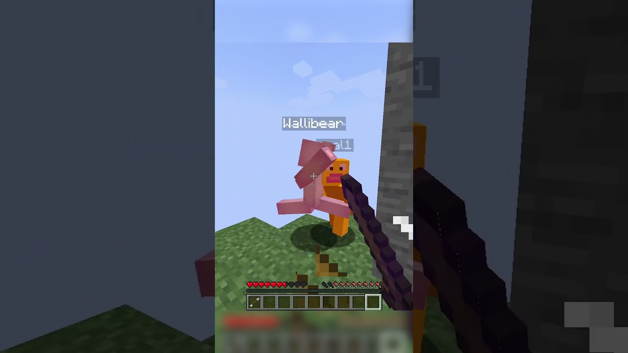 the craziest double ever #shorts #minecraft #minecraftshorts
