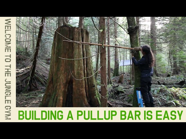 Pull-Ups DAY IN THE FOREST, Gatki