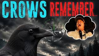 Do Crows Hold Grudges Against People? - The Green Way Podcast Clips
