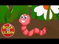 Wiggly Woo Quiz
