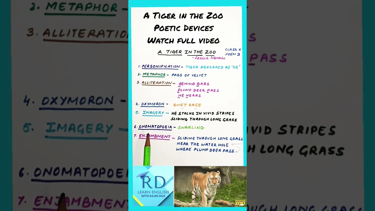 A TIGER IN THE ZOO | POETIC DEVICES | Class 10 | WATCH FULL VIDEO #learnenglishwithrajnidua