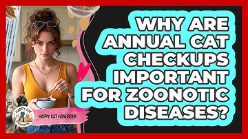 Why Are Annual Cat Checkups Important For Zoonotic Diseases? - Happy Cat Handbook