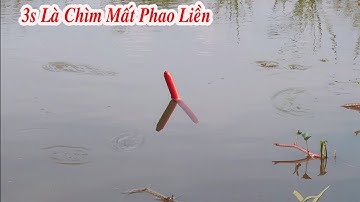 Câu Cá Rô Đồng , Trúng Ổ Cá Chốt Dưới Bụi Rau Muống Bỏ Xuống Là Chìm Phao Liền