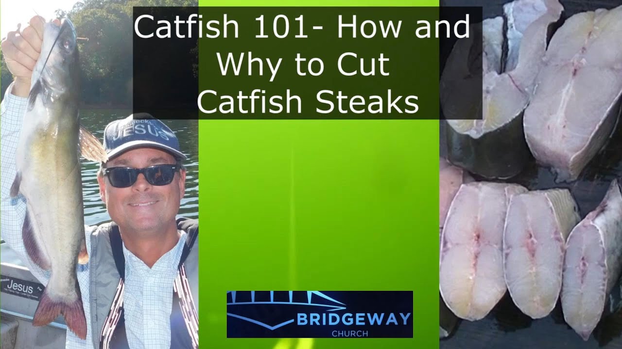 Catfish 101 Why and How to Cut Catfish Steaks YouTube