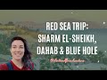 Scuba Diving in Sharm El-Sheikh and Snorkeling at The Blue Hole in Dahab