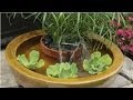 Create Container Water Fountains Create Container Water Fountains