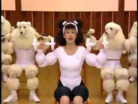 poodle-exercise-with-humans