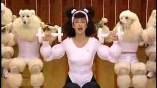 Poodle Exercise with Humans(Really weird poodle exercise video for humans. This is a mesmerizing and frightening video. It's a word-for-word parody of Susan Powter's first workout video, ..., 2006-09-30T20:20:10.000Z)