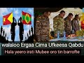 Walaloo Hala Abiyin Keesa Jiru Iratti Barreefamte Iti Bohara Oromo FM Subscribe Godha Galatooma