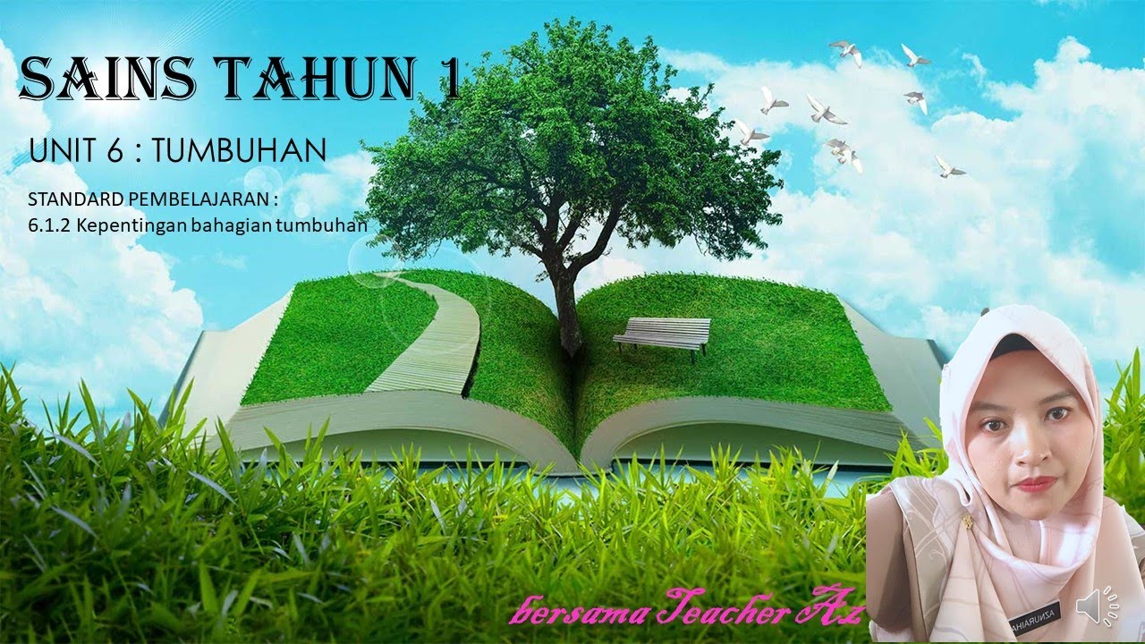 SAINS TAHUN 1  KEPENTINGAN BAHAGIAN TUMBUHAN  YouTube