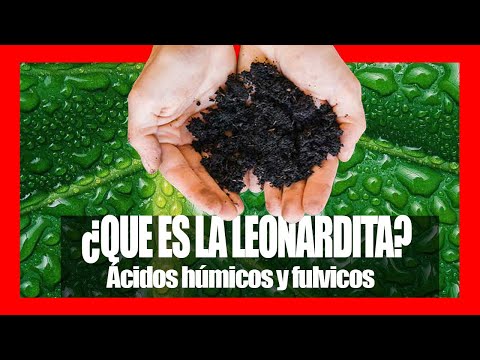 Vídeo: 7 Efectos Beneficiosos De Los ácidos Húmicos FulXP